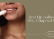 best lip balms for dry chapped lips